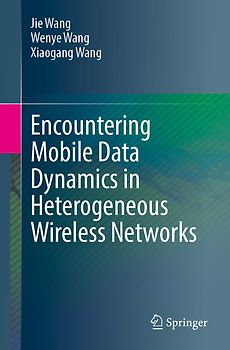 Encountering Mobile Data Dynamics in Heterogeneous Wireless Networks