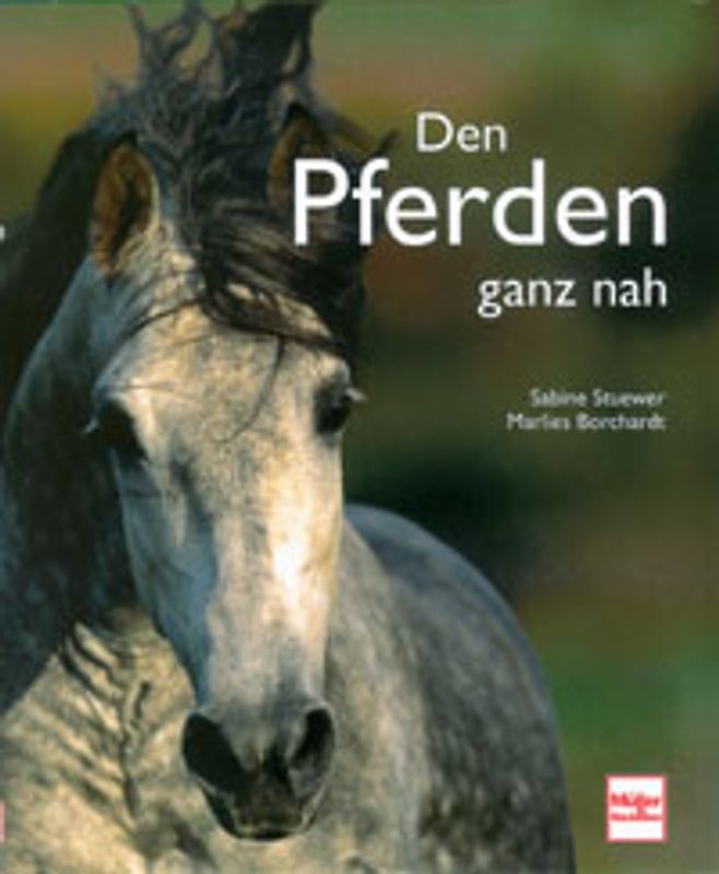 Den Pferden ganz nah