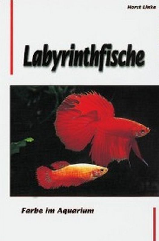 Labyrinthfische - Farbe im Aquarium