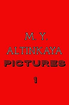 M. Y. ALTINKAYA P i c t u r e s 1