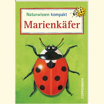 Naturwissen kompakt: Marienkäfer