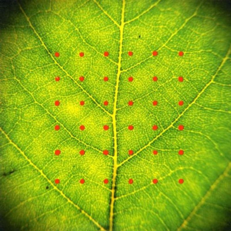 Zawose & Brook - Assembly