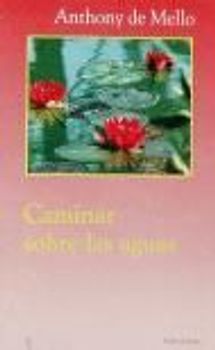 Caminar sobre las aguas