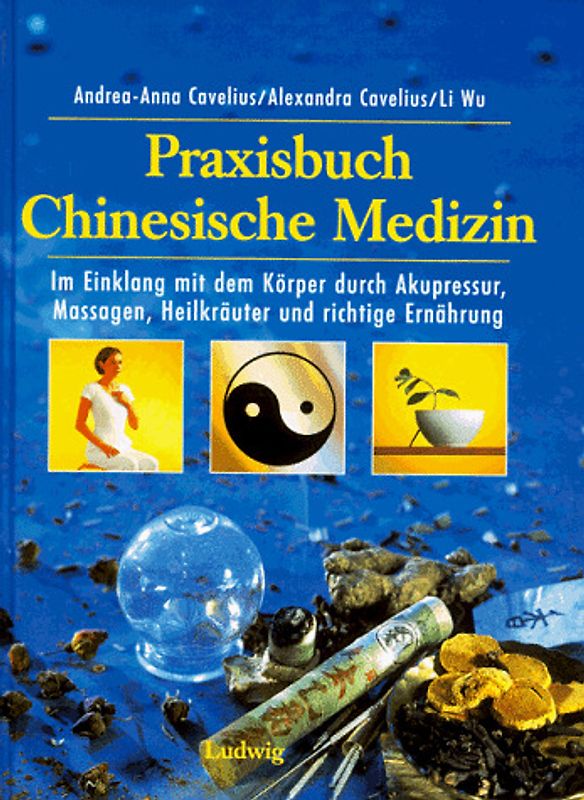 Praxisbuch Chinesische Medizin