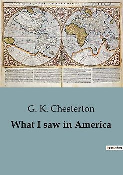 What I saw in America