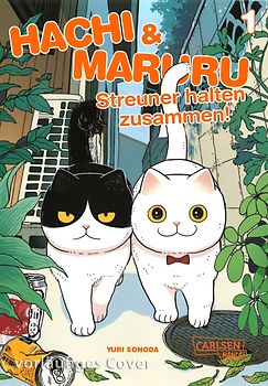 Hachi & Maruru – Streuner halten zusammen! 1