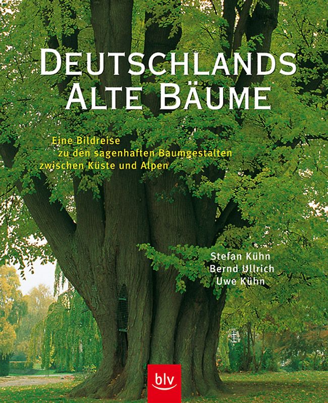Deutschlands alte Bäume