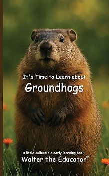 It's Time to Learn about Groundhogs