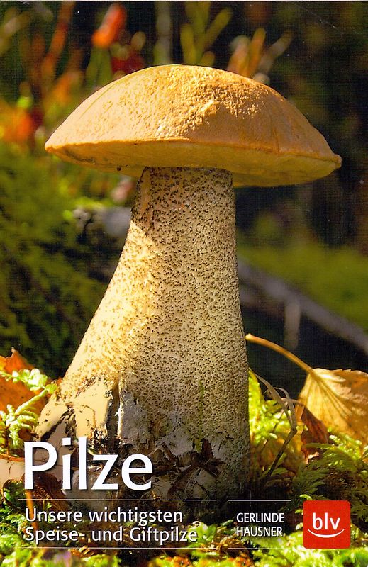 Pilze