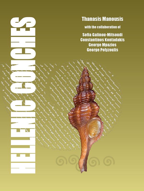 Hellenic Conches
