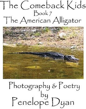 The Comeback Kids, Book 7, The American Alligator