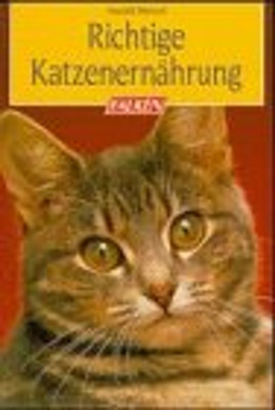 Richtige Katzenernährung