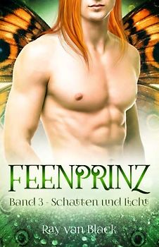 Feenprinz - Band 3: Schatten und Licht - Gay Fantasy (Feenprinz-Reihe, Band 3)