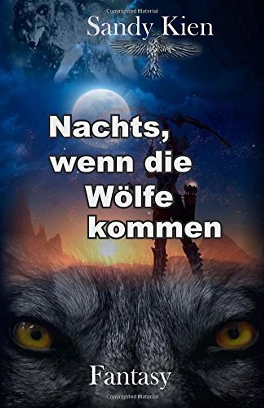 Nachts, wenn die Wölfe kommen - Kien, Sandy