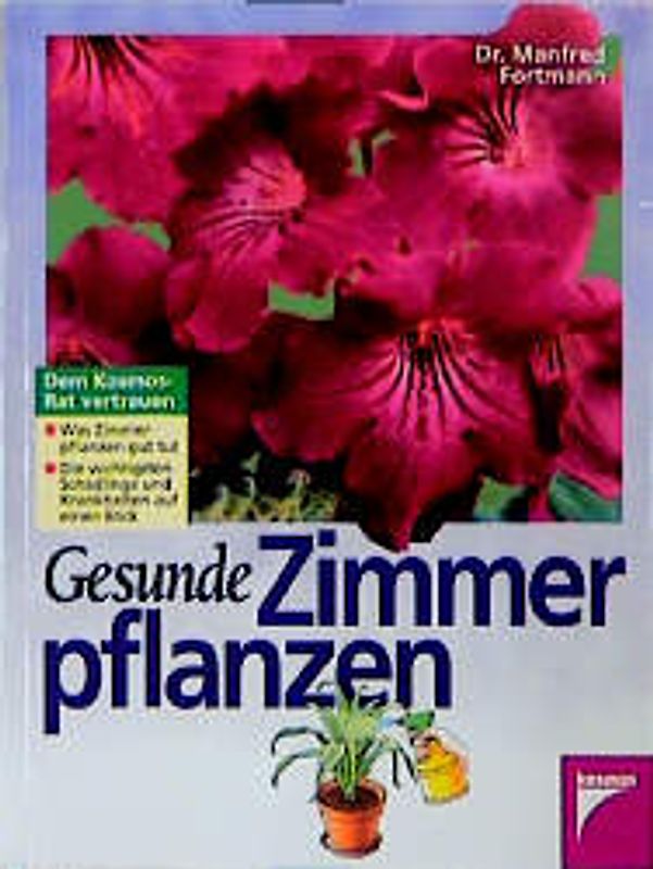 Gesunde Zimmerpflanzen