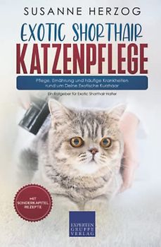 Exotic Shorthair Katzenpflege – Pflege, Ernährung und häufige Krankheiten rund um Deine Exotische Kurzhaar: Ein Ratgeber für Exotic Shorthair Halter