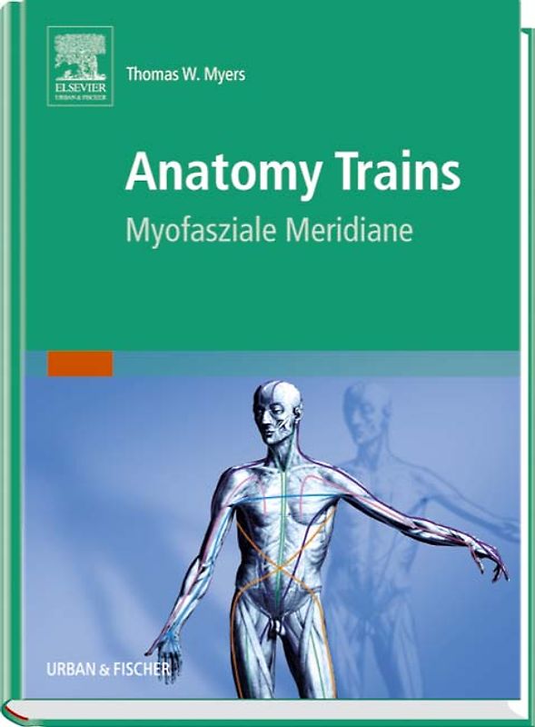 Anatomy Trains