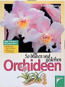 So blühen und gedeihen Orchideen