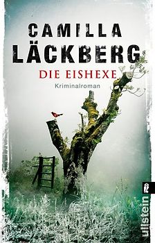 Die Eishexe (Ein Falck-Hedström-Krimi 10)
