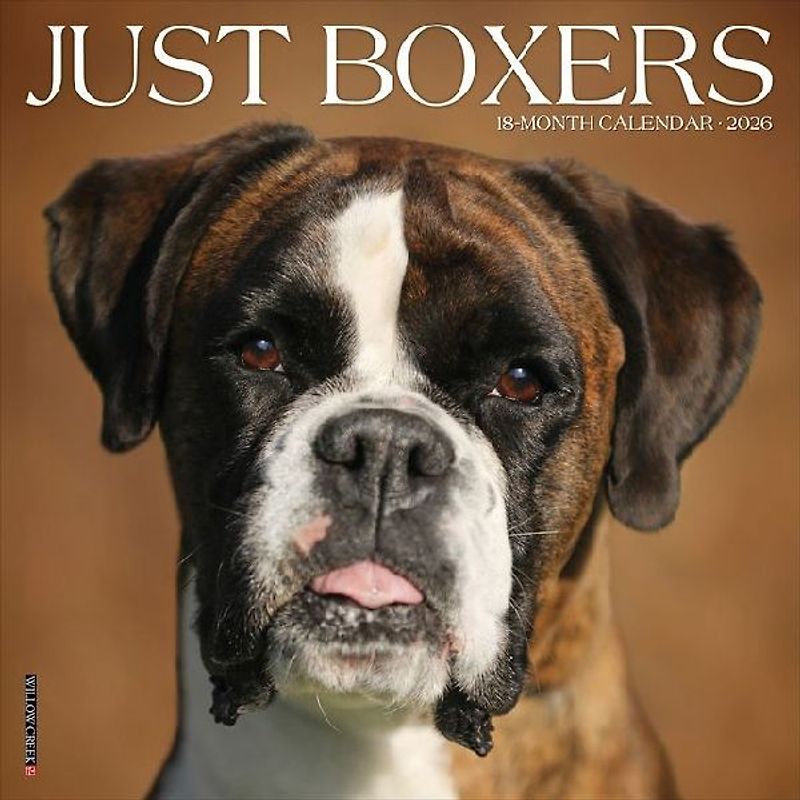 Boxers 2026 12 X 12 Wall Calendar