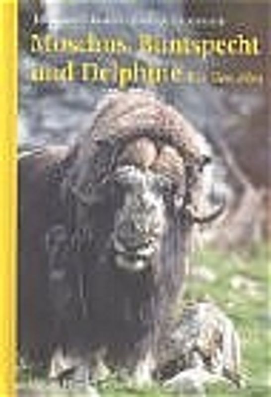 Moschus, Buntspecht und Delfine