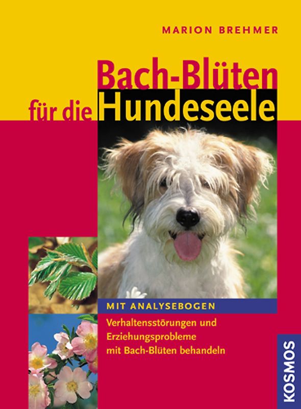 Bachblüten für die Hundeseele