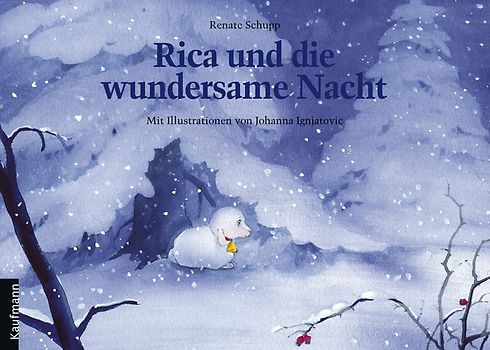 Rica und die wundersame Nacht