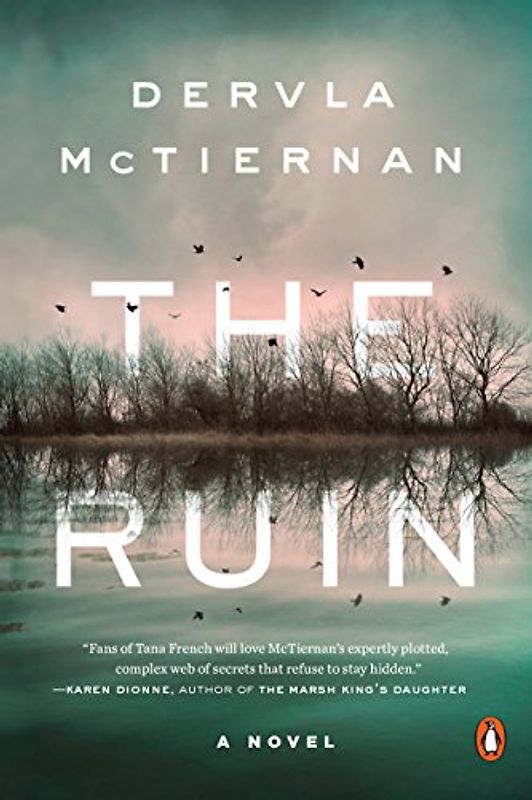 The Ruin: A Novel (A Cormac Reilly Mystery, Band 1)