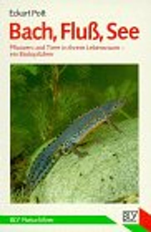 Bach, Fluss, See. Pflanzen und Tiere in ihrem Lebensraum. Ein Biotopführer