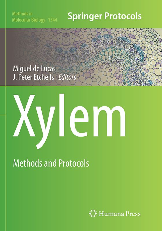 Xylem