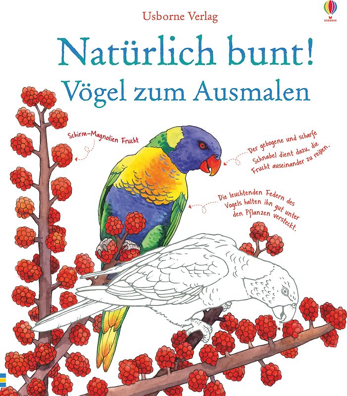 Natürlich bunt! Vögel zum Ausmalen