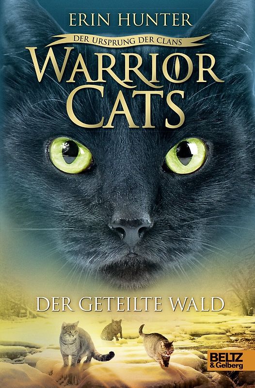 Warrior Cats - Der Ursprung der Clans. Der geteilte Wald. V, Band 5