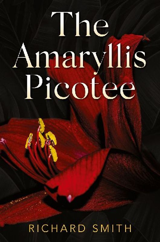 The Amaryllis Picotee