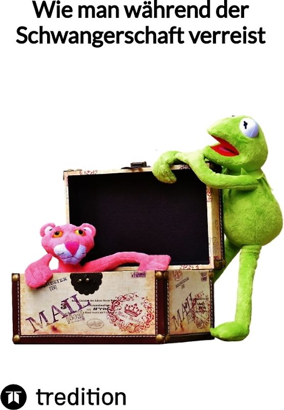 Wie man während der Schwangerschaft verreist