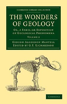 The Wonders of Geology - Volume 2