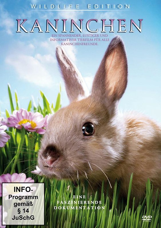 Kaninchen DVD