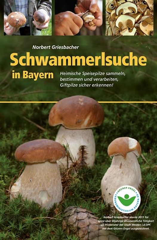 Schwammerlsuche in Bayern