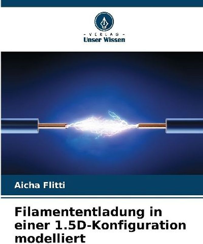 Filamententladung in einer 1.5D-Konfiguration modelliert