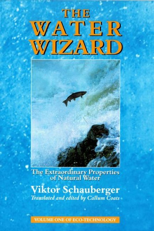 Water Wizard: The Extraordinary Properties of Natural Water (Eco-Technology) - Schauberger, Viktor