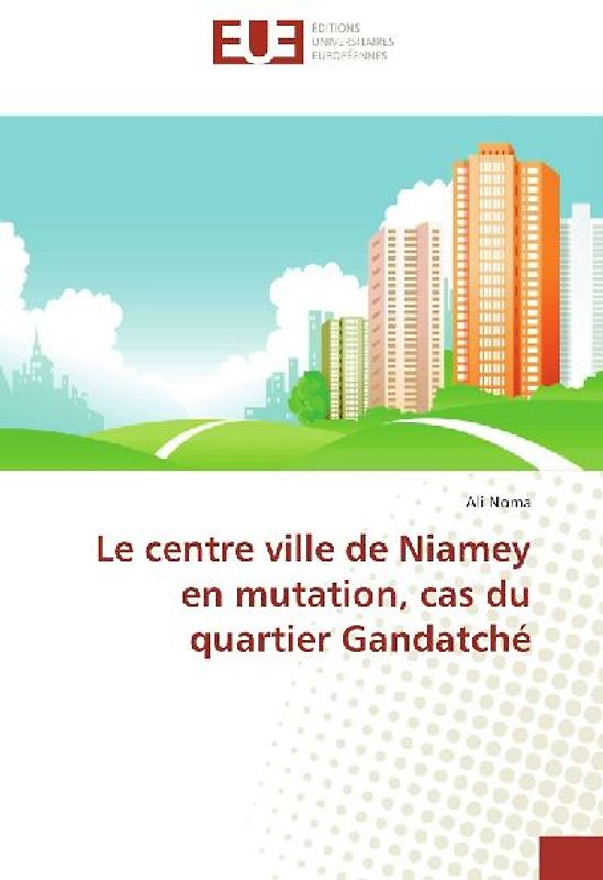 Le centre ville de Niamey en mutation, cas du quartier Gandatché