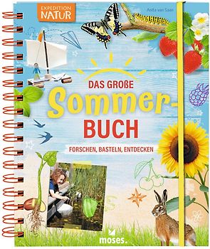 Das große Sommer-Buch