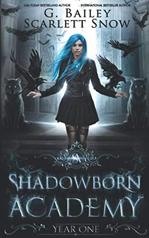 Shadowborn Academy: Year One (Dark Fae Academy Series, Band 1)