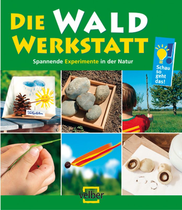 Die Wald-Werkstatt