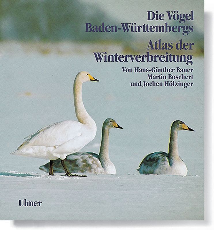 Die Vögel Baden-Württembergs Band 5 - Atlas der Winterverbreitung