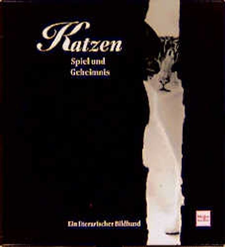 Katzen-Spiel und Geheimnis