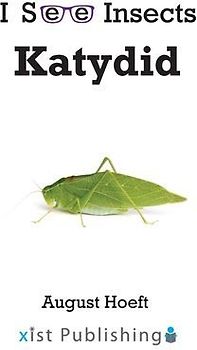 Katydid