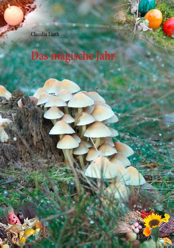 Das magische Jahr