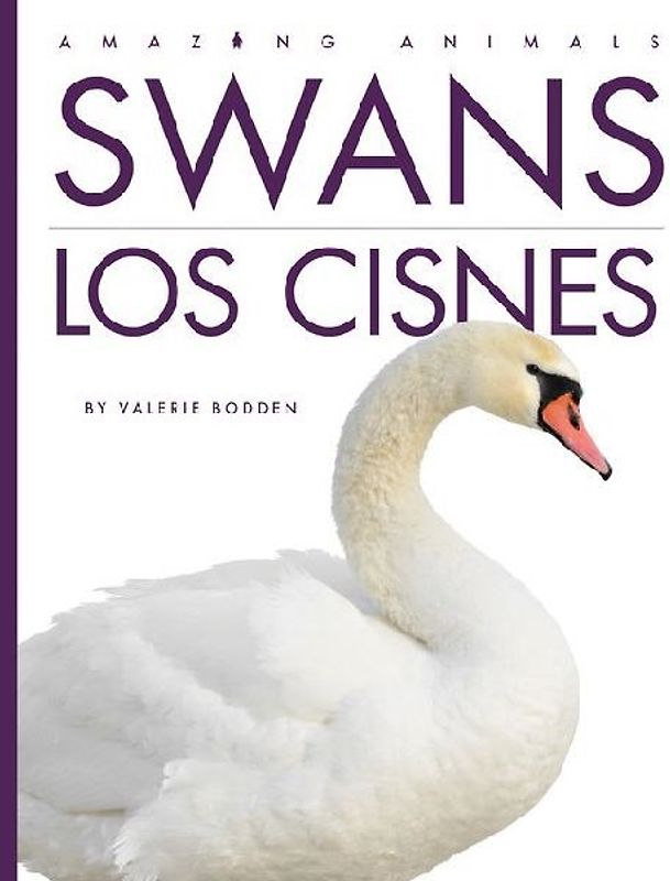 Swans / Los Cisnes