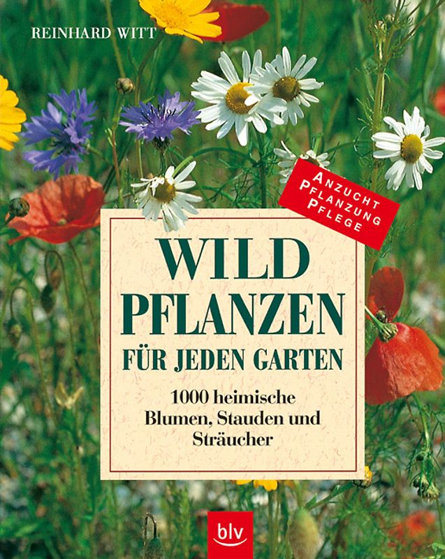 Wildpflanzen für jeden Garten