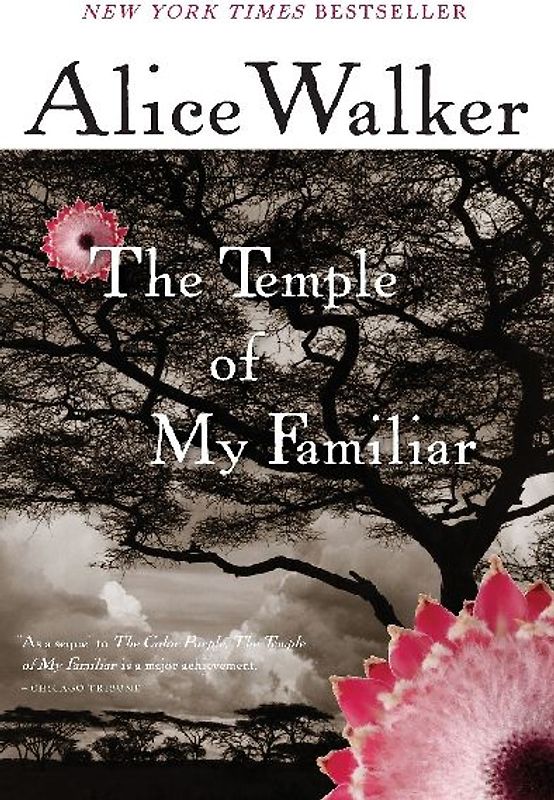 Temple of My Familiar, The